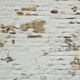lead paint on wall
