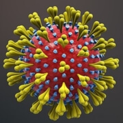 corona-virus